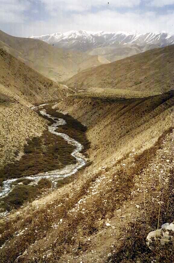Dolpa scene